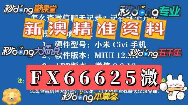 2025新澳门天天精准免费大全与2025新澳门天天免费全面释义、解释与落实