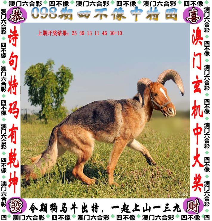 新澳2025精准正版資料与2025澳门精准正版免费四不像,词语释义、解释与落实与警惕虚假宣传-全面释义、解释与落实
