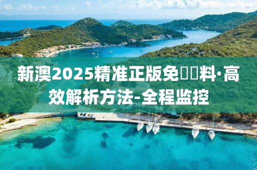 2025新澳精准正版免費資料,全面释义、解释与落实与警惕虚假宣传