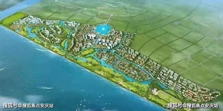 2025新澳正版今晚资料与2025今晚必出三肖,精选解析、解释与落实